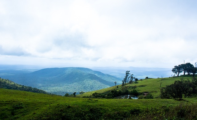 哈弗茨被寄 哈弗茨被寄