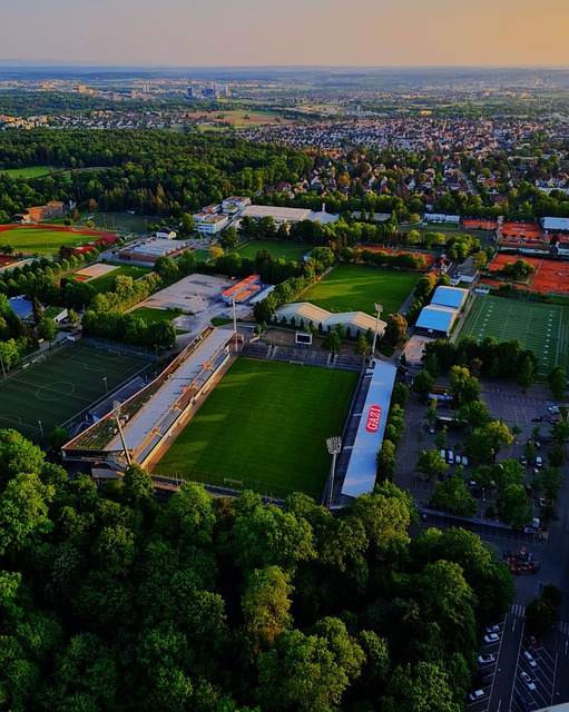 但他的田径 但他的田径