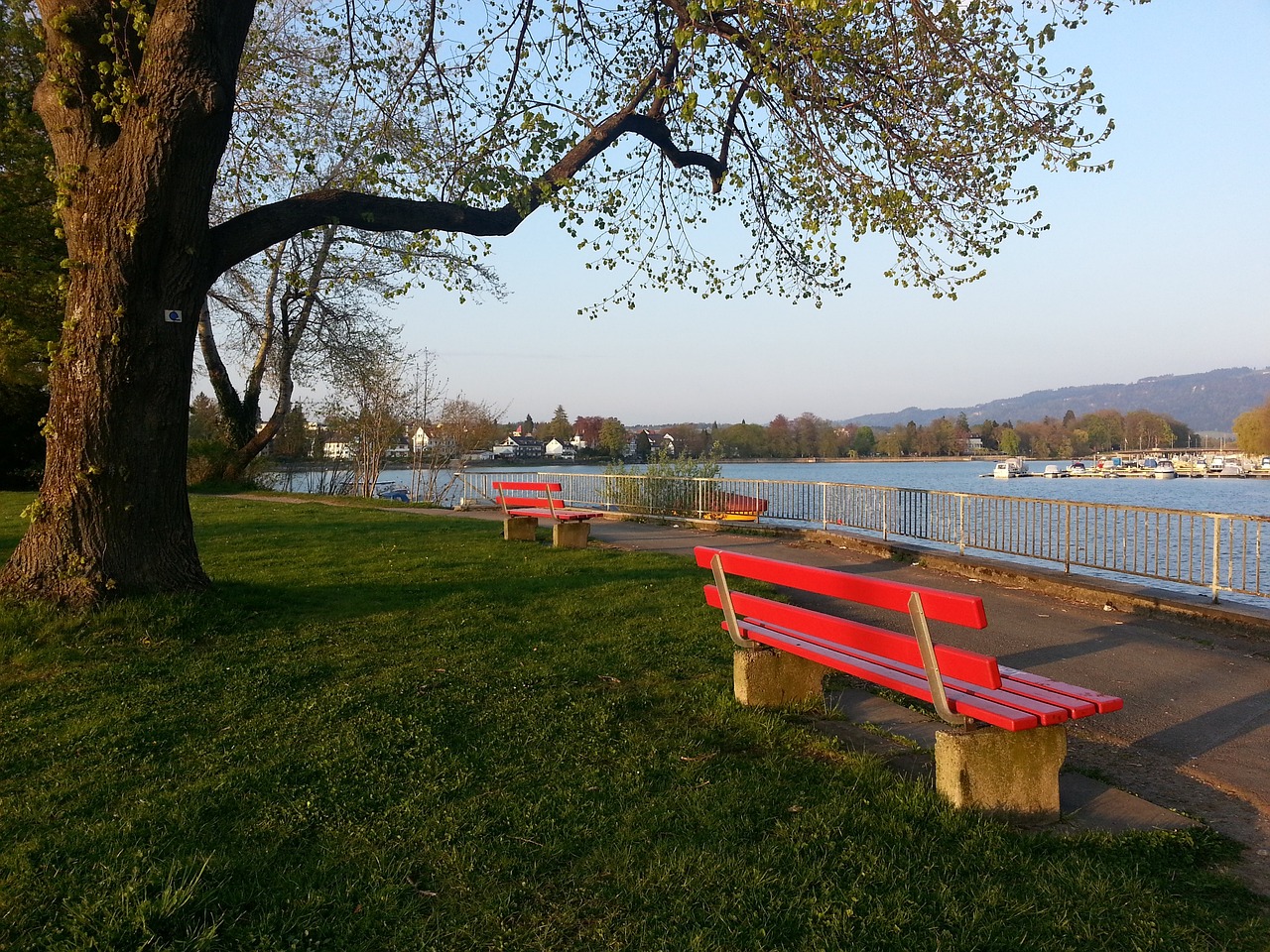 未如賽前預 未如賽前預