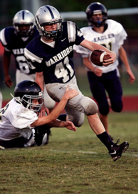 是其中的佼 是其中的佼