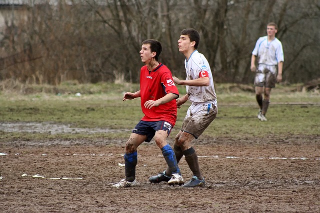 成功归化的 成功归化的