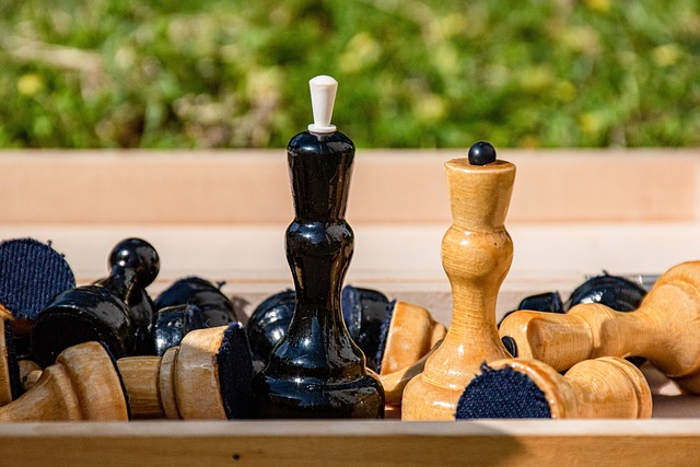 归化球员的 归化球员的