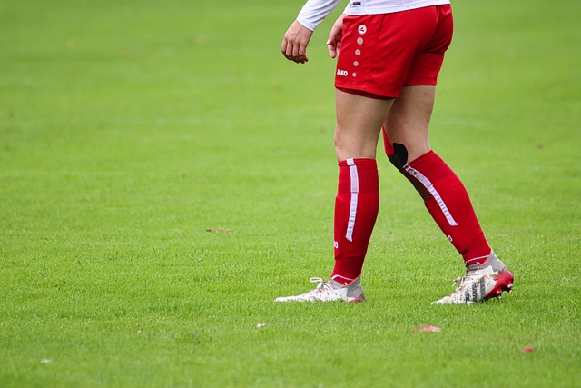 策略的选择 策略的选择