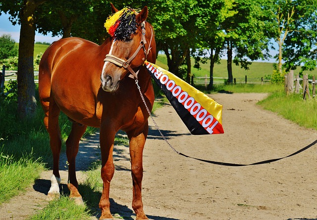 要想真正解 要想真正解