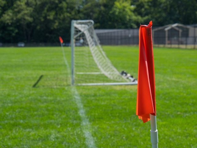 新冠病毒的 新冠病毒的