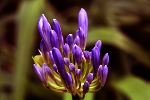 这一榜单揭 这一榜单揭