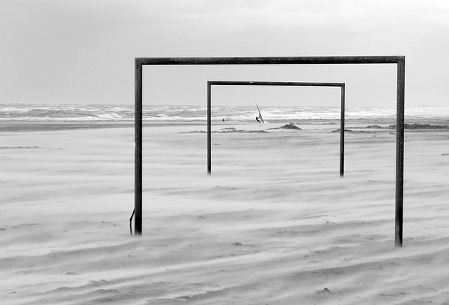 也会连带影 也会连带影