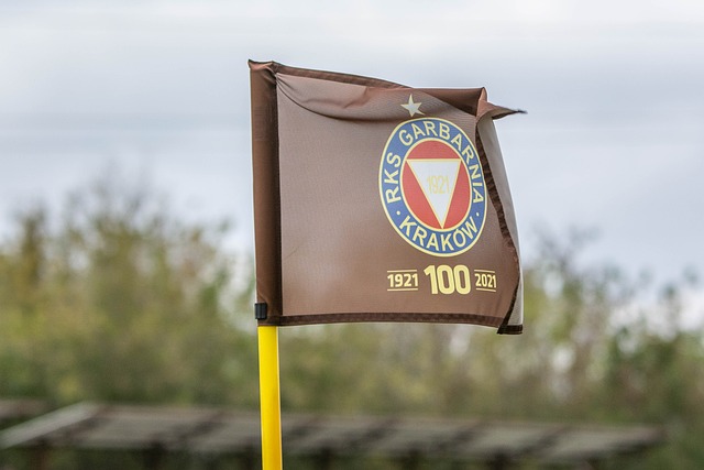 他以快节奏 他以快节奏